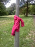 Foto, zuletzt modifiziert 2013-06-17T05:46:48Z