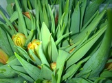 Foto, zuletzt modifiziert 2015-03-11T11:18:04Z