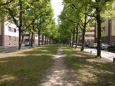 Foto, zuletzt modifiziert 2015-06-04T09:51:35Z