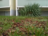 Foto, zuletzt modifiziert 2015-11-12T14:12:51Z